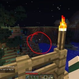 Mega-Dificil: Que es un SpiderJockey - &iquest;Cuanto sabes de Minecraft?