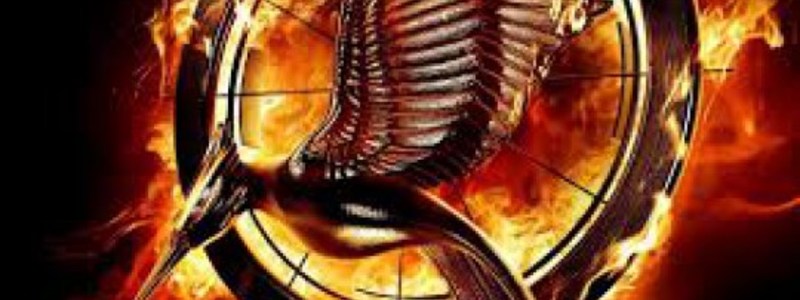 losjuegos del hambre quiz lu