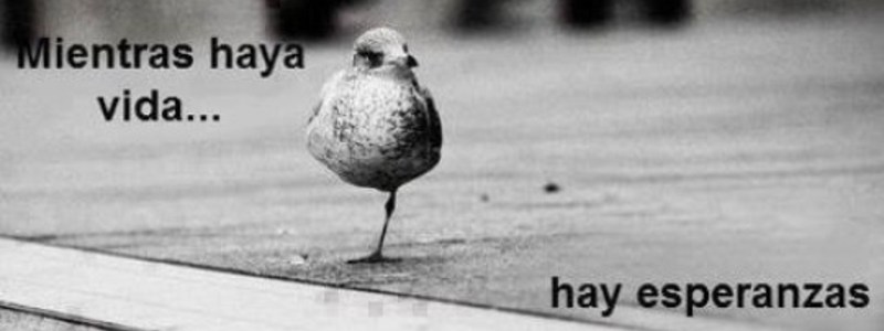 tu cuanto sabes de violetta