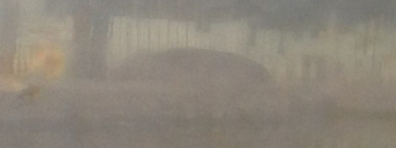 Hippo