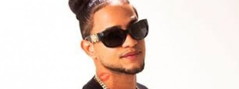 quien es mozart la para 