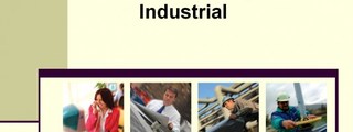 Fundamentos de Seguridad Industrial