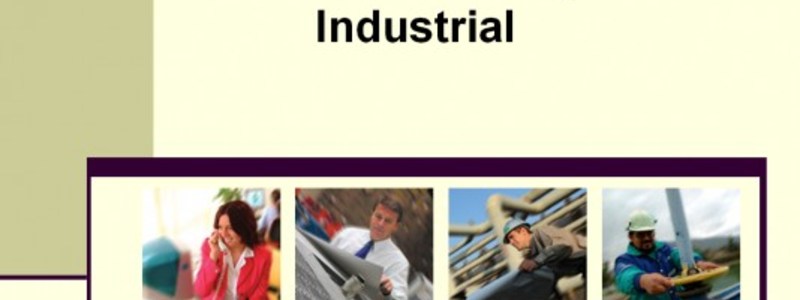 Fundamentos de Seguridad Industrial