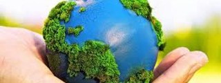 cuidemos el medio ambiente 