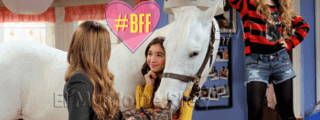 ¿Eres un verdadero fan de El Mundo de Riley?