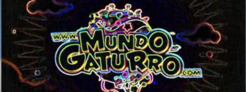 encuesta de gaturro