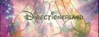 ¿Directioner o Directionator?