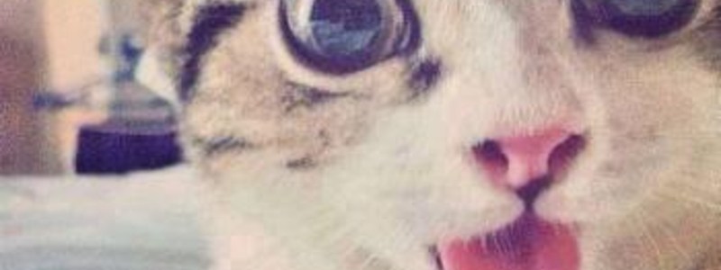 QUIEN SABE MAS DE LA VIDA DE YOSELIN RICO