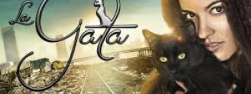 cuanto sabes de la telenovela la gata