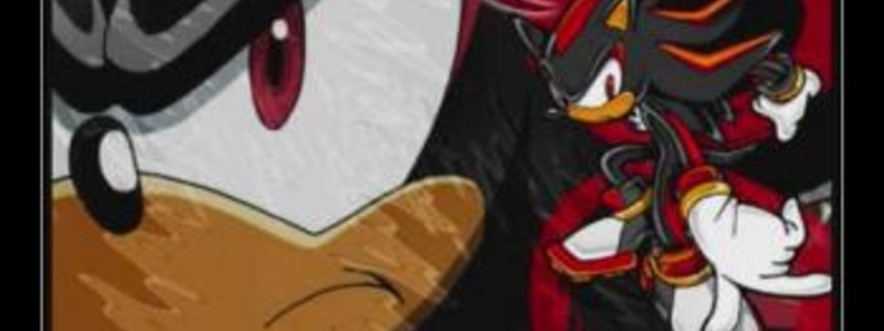 cuanto sabes de shadow hedgehog
