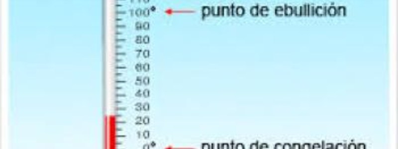El agua y las biomoléculas orgánicas e inorgánicas 