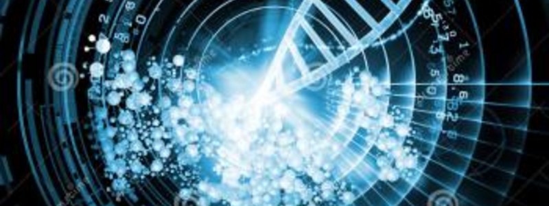 Los Bioelementos y el agua 