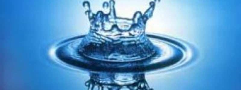 características físicas-biológicas del agua y biomoleculas