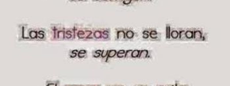 revistas quiz