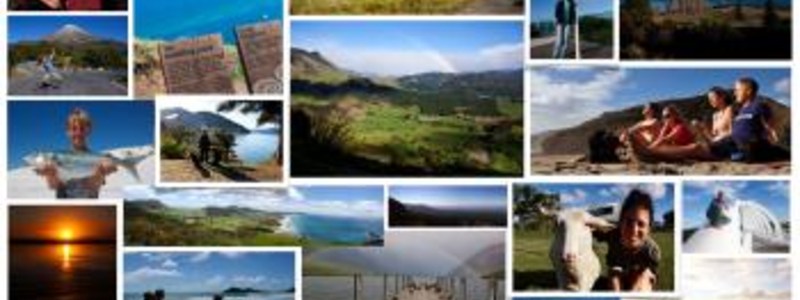 How much you know about New Zealand?