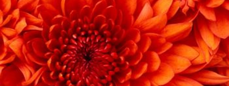 cuanto sabes de matematica?