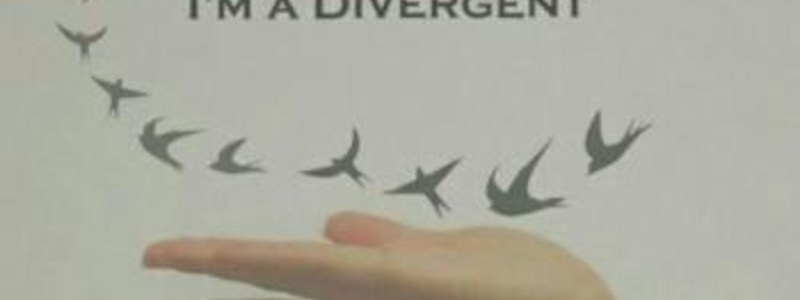 ¿CUANTO SABES SOBRE LA TRILOGIA DE MODA, ''DIVERGENTE'