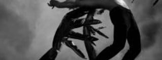 ¿Cuanto sabes sobre la saga de Becca Fitzpatrick, Hush Hush?