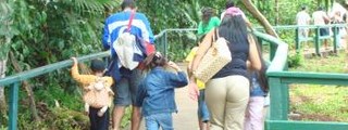cuanto sabes de junior