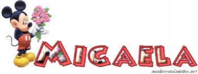 Preguntas sobre el significado de Micaela