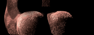 cuanto sabes de five nights at freddys 1,2,3y4