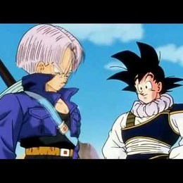 Qui&eacute;n es el &uacute;nico que escucha a Trunks y Goku al llegar este a la tierra? - Quiz de Dragon Ball Z