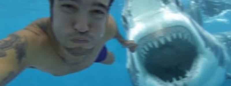 &iquest;Qu&eacute; posibilidad tienes de sobrevivir a un Tibur&oacute;n?