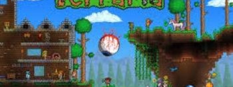 Terraria Quiz Examen Perfecto!