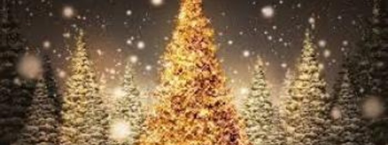 celebración de la Navidad
