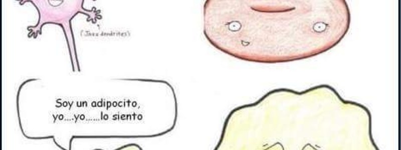 Células hemáticas 
