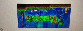 Que sabes de terraria 