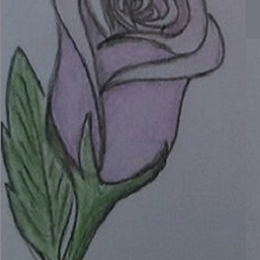 &iquest;Color rosa favorito que incluso le volver&eacute; a dedicar otra canci&oacute;n? - Ivi test