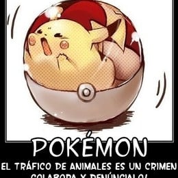 Si pudiera ayudar a un familiar vivo m&iacute;o Espa&ntilde;ol. &iquest;A qui&eacute;n ayudar&iacute;a? - Ivi Test 2