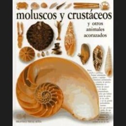 &iquest;Bivalvo Favorito? - animalia