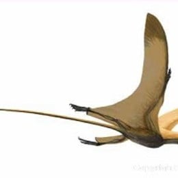 &iquest;Dinosaurio Favorito de Tierra/Aire? (Busca en Google Im&aacute;genes) - animalia