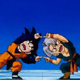 &iquest;Fusi&oacute;n pok&eacute;mon elegida? - Test for my favorite family