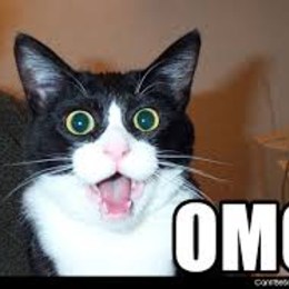 &iquest;Qu&eacute; me impresion&oacute; m&aacute;s? - S&oacute;lo para mi familia