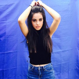 &iquest;Su Color Favorito? - Cuanto Sabes De Camila Cabello 