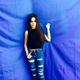 &iquest;Quien Su Artista Favorito?  - Cuanto Sabes De Camila Cabello 