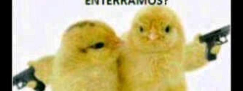 Sos hinteligente o un IddioTha