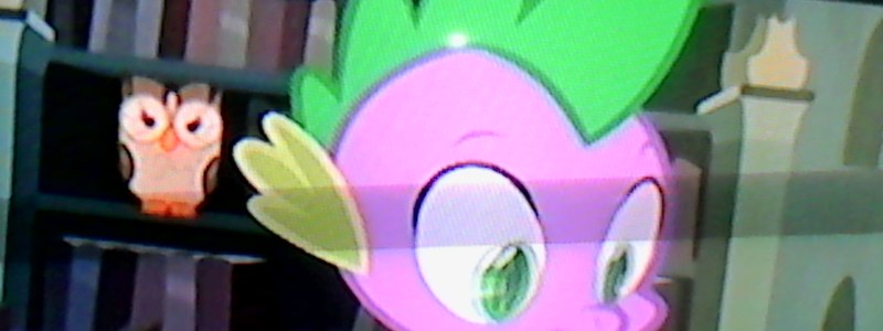 Cuanto sabes de mi lttel poni