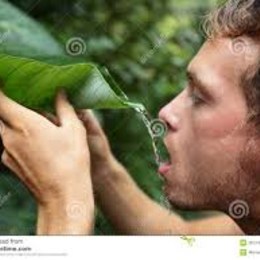 como desinfectas el agua - cuanto sabes de supervivencia