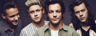 cuanto sabes de los 4 chicos de one direction