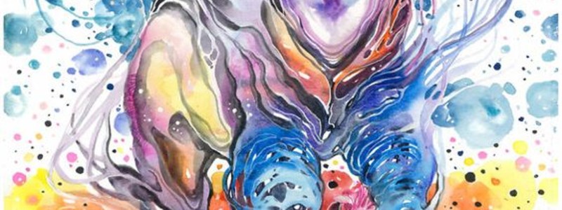 &iquest;Cu&aacute;l es tu Esp&iacute;ritu Animal?