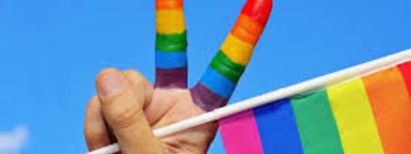 Que opinas de las personas homosexuales