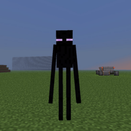 QUE SE LLEVAN LOS ENDERMAN ? - CUANTO SABES DE MINECRAFT ?