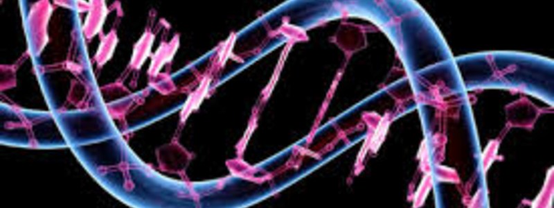 ¿Que harías con la genética harías si fueras cientif