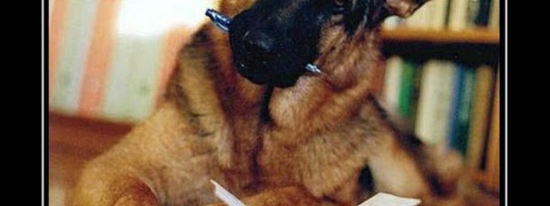 el test de la historia de M&eacute;xico