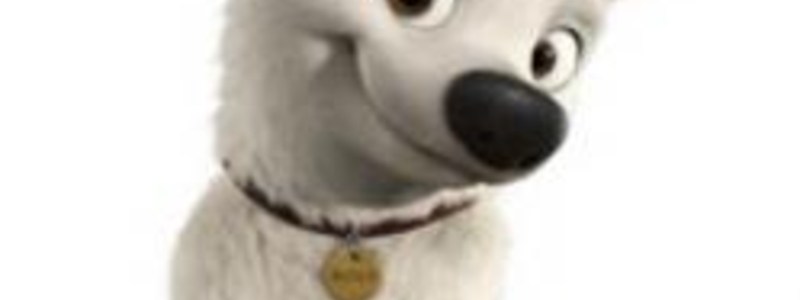 CONOCE QUE PERRO ERES
