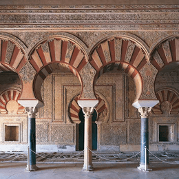 What is this? - What is...?